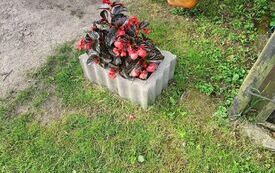 IMG20240617071533