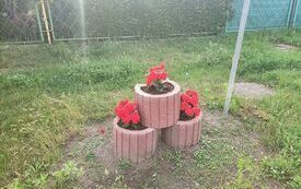 IMG20240617071400
