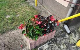IMG20240617071349