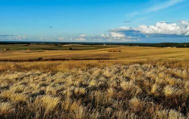 Punkt widokowy – na drodze Zawada-Stara Łubianka 4