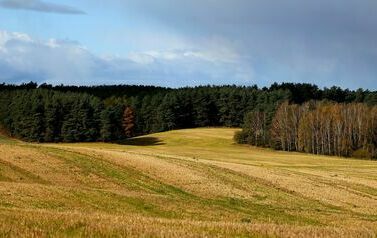 Punkt widokowy – na drodze Zawada-Stara Łubianka 12