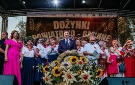 DSZ-447