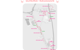 schemat nasadzeń
