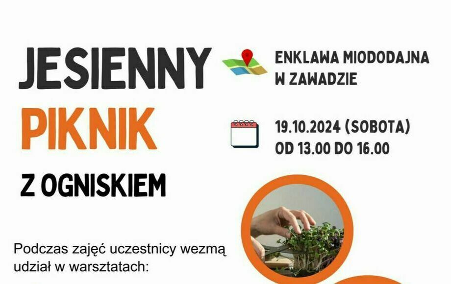 Zdjęcie do Fundacja Pszczoła zaprasza na Jesienny Piknik z ogniskiem