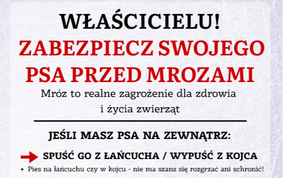 Zdjęcie do Zadbaj o bezpieczeństwo ps&oacute;w podczas mroz&oacute;w