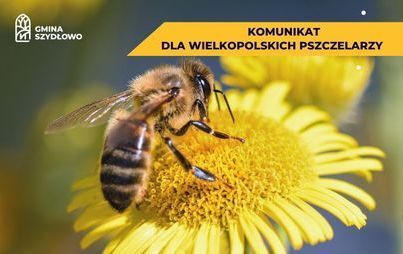 Zdjęcie do Uwaga pszczelarze!
