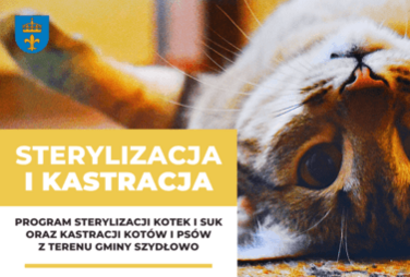 Zdjęcie do Program sterylizacji i kastracji