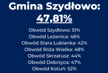 Zdjęcie do Frekwencja wyborcza, godz. 17:00