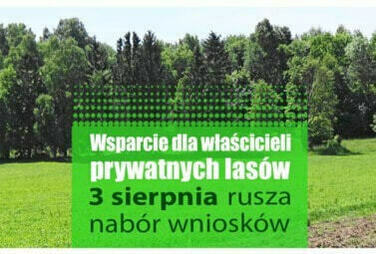 Zdjęcie do Wsparcie dla właścicieli las&oacute;w prywatnych
