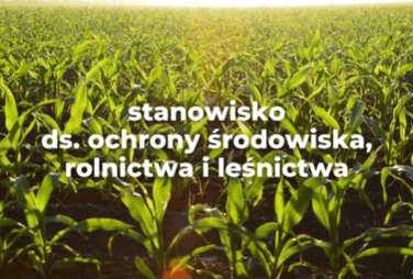 Zdjęcie do Zatrudnimy osobę na zastępstwo