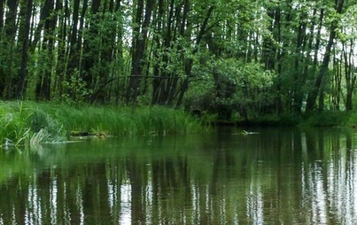 Zdjęcie do Przetarg na budowę kładki w Krępsku