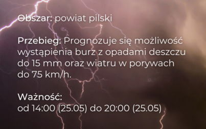 Zdjęcie do Ostrzeżenie meteorologiczne - burze i wiatr