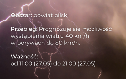 Zdjęcie do Ostrzeżenie meteorologiczne - silny wiatr