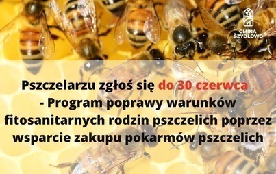 Zdjęcie do Do 30 czerwca - Program poprawy warunk&oacute;w fitosanitarnych rodzin pszczelich poprzez wsparcie zakupu pokarm&oacute;w pszczelich