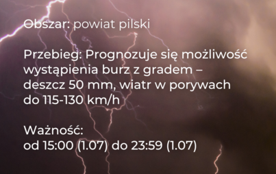 Zdjęcie do Ostrzeżenie meteorologiczne - burze i wiatr