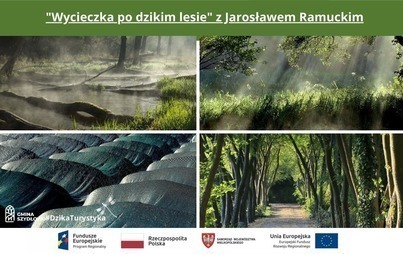Zdjęcie do Zapraszamy na wycieczę wzdłuż Głomii, po prawdziwym, dzikim lesie.