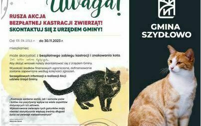 Zdjęcie do ZWIERZowa Akcja Kastracja 2023!