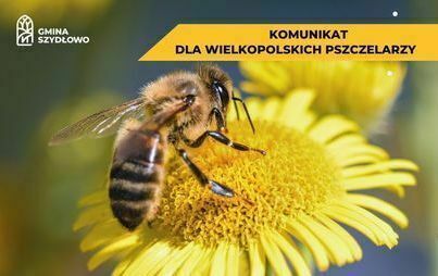 Zdjęcie do Uwaga pszczelarze!