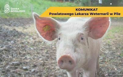 Zdjęcie do Ważny komunikat dla rolnik&oacute;w i hodowc&oacute;w 