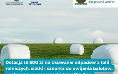 Zdjęcie do Usuwanie folii rolniczych i innych odpad&oacute;w pochodzących z działalności rolniczej