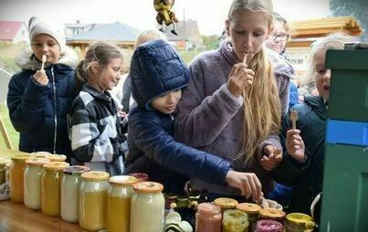 Zdjęcie do Przestrzeń publiczna dla ludzi i owad&oacute;w, oficjalnie otwarta!
