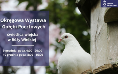 Zdjęcie do Zapraszamy do R&oacute;ży Wielkiej na Wystawę Gołębi Pocztowych