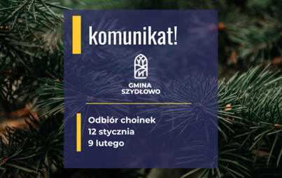 Zdjęcie do Odbi&oacute;r choinek 