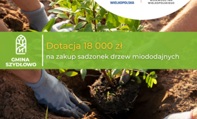 Zdjęcie do &nbsp;Kolejne drzewa miododajne w Gminie Szydłowo