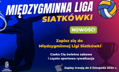 Zdjęcie do Międzygminna Liga Siatk&oacute;wki - dołącz do gry!