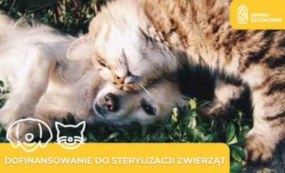 Zdjęcie do Dofinansowanie do sterylizacji zwierząt.