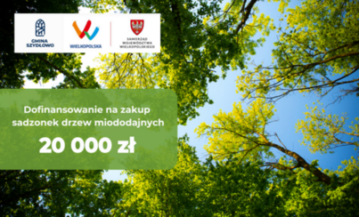 Zdjęcie do Dofinansowanie na zakup sadzonek drzew miododajnych