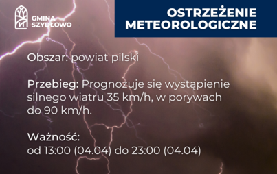 Zdjęcie do KOMUNIKAT OSTRZEGAWCZY IMGW Wiatr