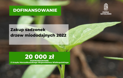 Zdjęcie do Dofinansowanie na zakup sadzonek drzew miododajnych 2022