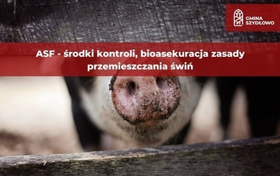 Zdjęcie do ASF - środki kontroli, bioasekuracja zasady przemieszczania świń