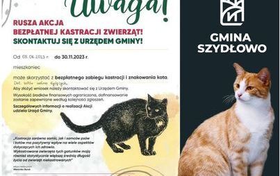Zdjęcie do ZWIERZowa Akcja Kastracja 2023!