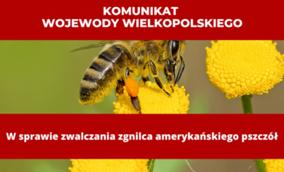 Zdjęcie do Komunikat z sprawie zwalczania zgnilca amerykańskiego pszcz&oacute;ł