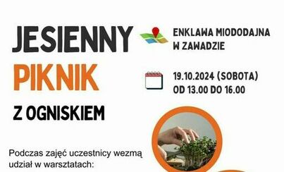 Zdjęcie do Fundacja Pszczoła zaprasza na Jesienny Piknik z ogniskiem