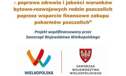 Zdjęcie do Wielkopolska wspiera pszczoły