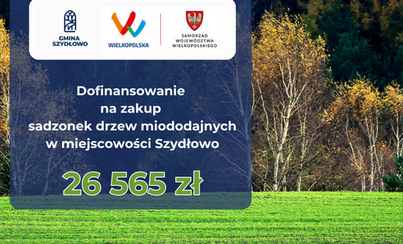 Zdjęcie do Gmina Szydłowo pozyskała dofinansowanie na zakup drzew miododajnych