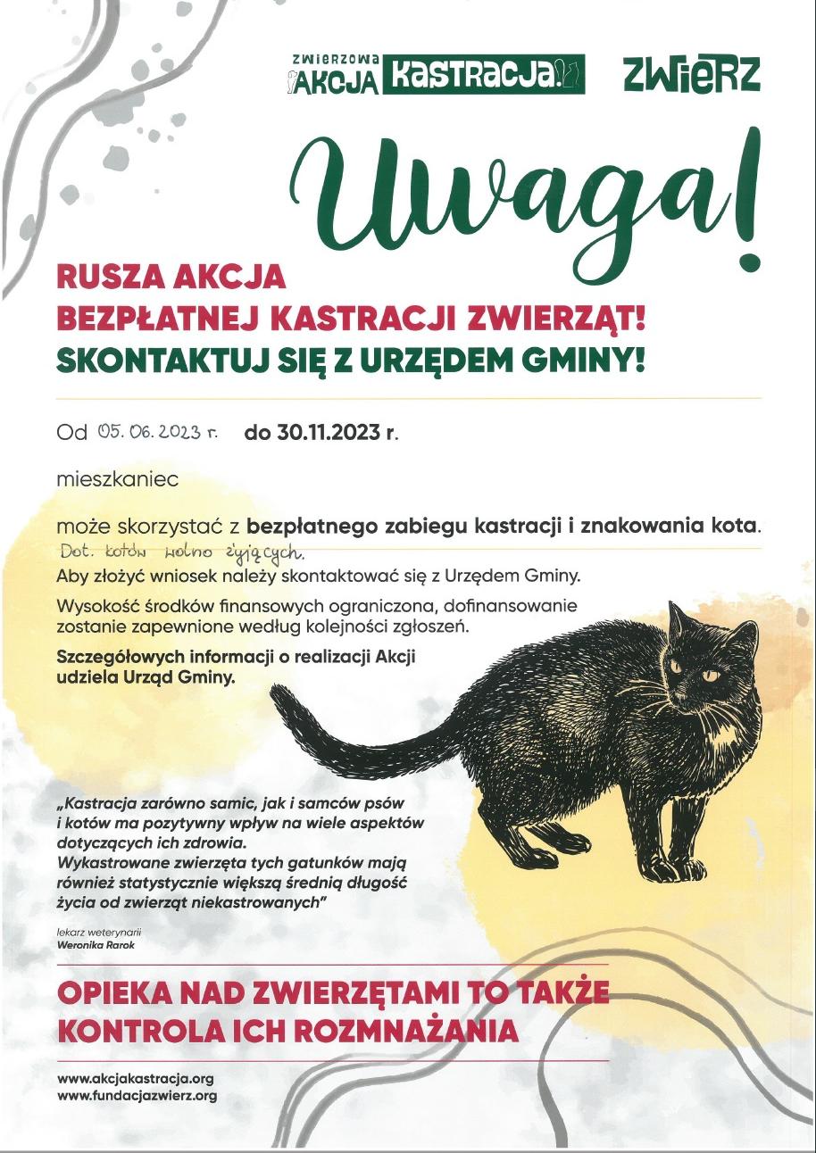 Bez_tytułu