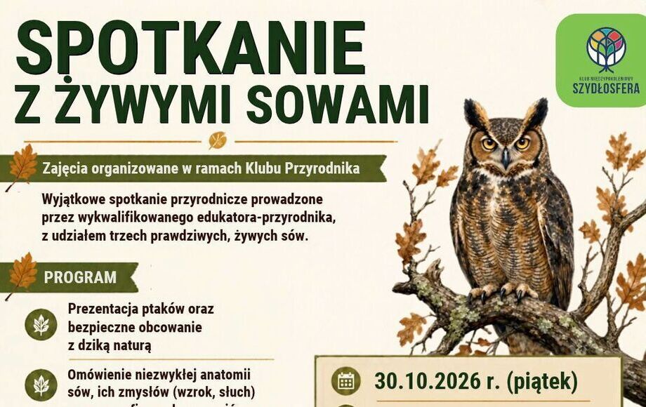 Spotkanie z żywymi sowami w KM Szydłosfera